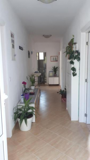 Отель Apartman P&M  Макарска 